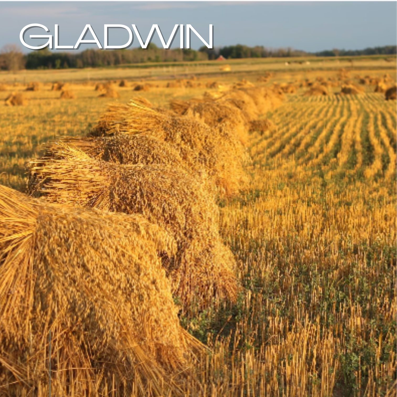 Gladwin